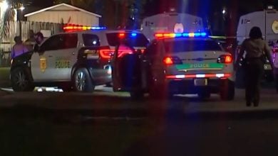 Tiroteo deja dos muertos en Miami-Dade. (Captura de pantalla © Telemundo 51)