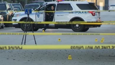 Las autoridades recolectaron evidencia. (Captura de pantalla © WPLG Local 10-YouTube)