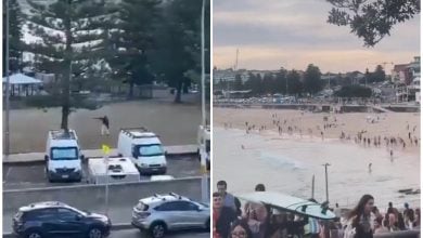 Los responsables del incidente fueron detenidos. (Captura de pantalla © EzeBets y saikirankannan-Twitter)