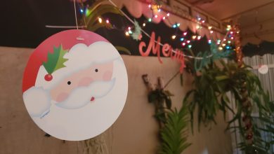 Decoraciones de Navidad. (Foto © Asere Noticias)