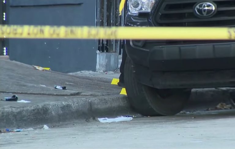 Cuatro jóvenes arrestados por el asesinato de una mujer en La Pequeña Habana