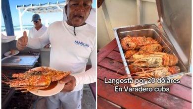 El platillo causó indiognación en redes. (Elsebaspeluches- TikTok)