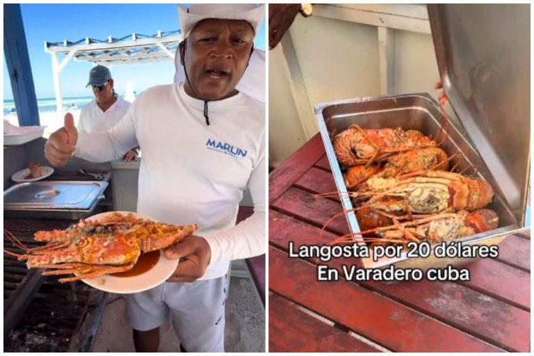 Indignación: sirven langosta en Varadero mientras el pueblo está en crisis