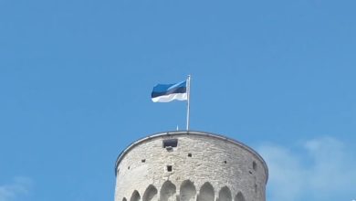 Imagen ilustrativa de una bandera de Estonia. (Captura de pantalla © KingScotland-YouTube)