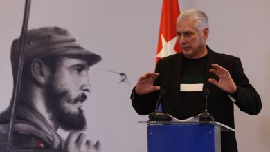 Miguel Díaz-Canel durante una conferencia. (Captura de pantalla © Presidencia Cuba-YouTube)