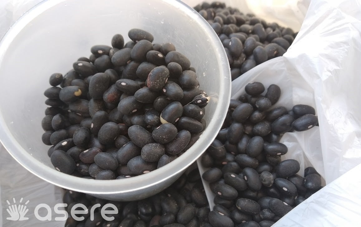 Imagen ilustrativa de unos frijoles a la venta. (Foto © Asere Noticias)