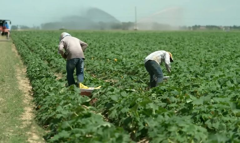 EEUU duplica visas de trabajo para 2026 por escasez de mano de obra
