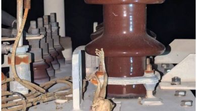 Rana (al centro) en sistema electrico de Sancti Spíritus. (Captura de pantalla © Radio Sancti Spíritus- Facebook)