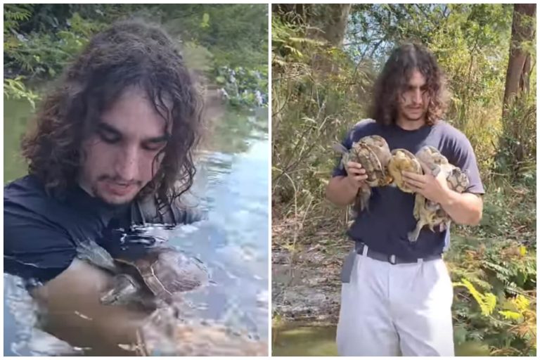 Veterinario cubano libera tortugas en un lago ¿por qué no debes hacer lo mismo?