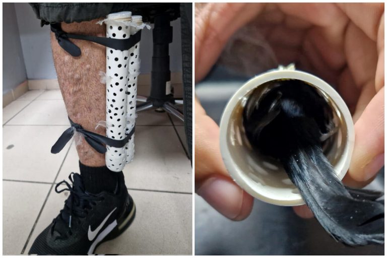 Arrestan pasajero en Aeropuerto de La Habana por traficar aves en su pantalón