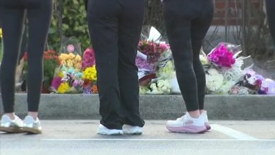 Varios estudiantes llevaron flores al lugar donde ocurrió todo. (Captura de pantalla © ABC 7 Chicago-YouTube)