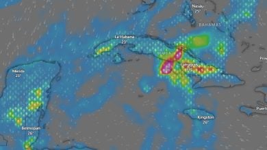 Imagen satelital de las lluvias sobre la Isla. (Captura © Windy-Web)