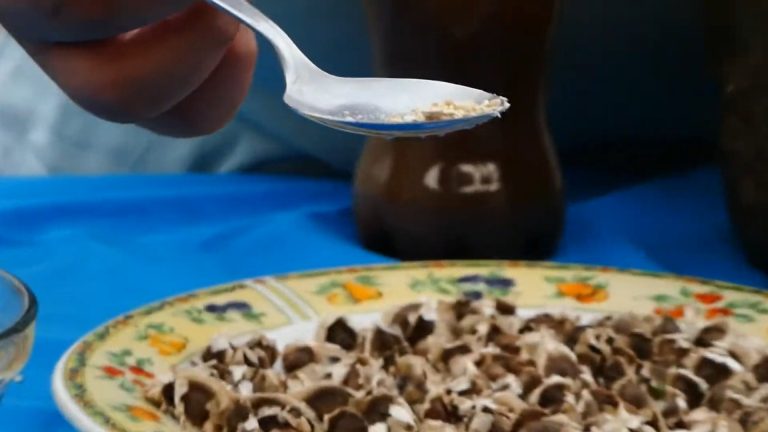 Régimen propone purificar agua sucia de acueducto con semillas de moringa