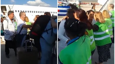 Médicos cubanos retornando a la Isla. (Captura de pantalla © AgenciaCubanadeNoticias-YouTube)