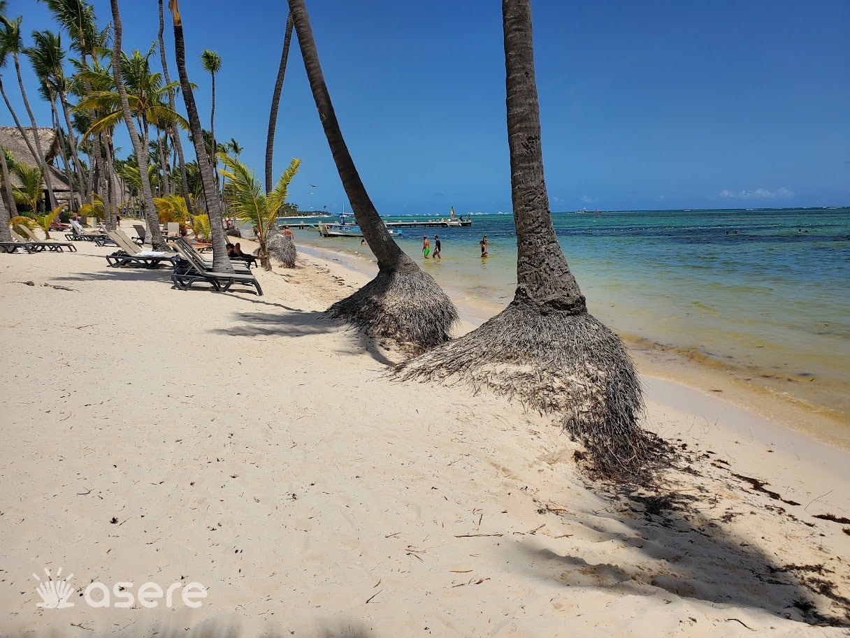 Obtén la visa actualizada de turismo para un reencuentro con tu familia de Cuba en Punta Cana 3