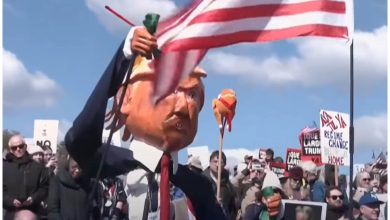 Millones llegaron a 3.300 manifestaciones en todo el país, contra el gobierno de Trump. (Captura de pantalla © DW- YouTube)