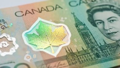 Imagen ilustrativa de unos dólares canadienses. (Captura de pantalla © The Process Planet-YouTube)