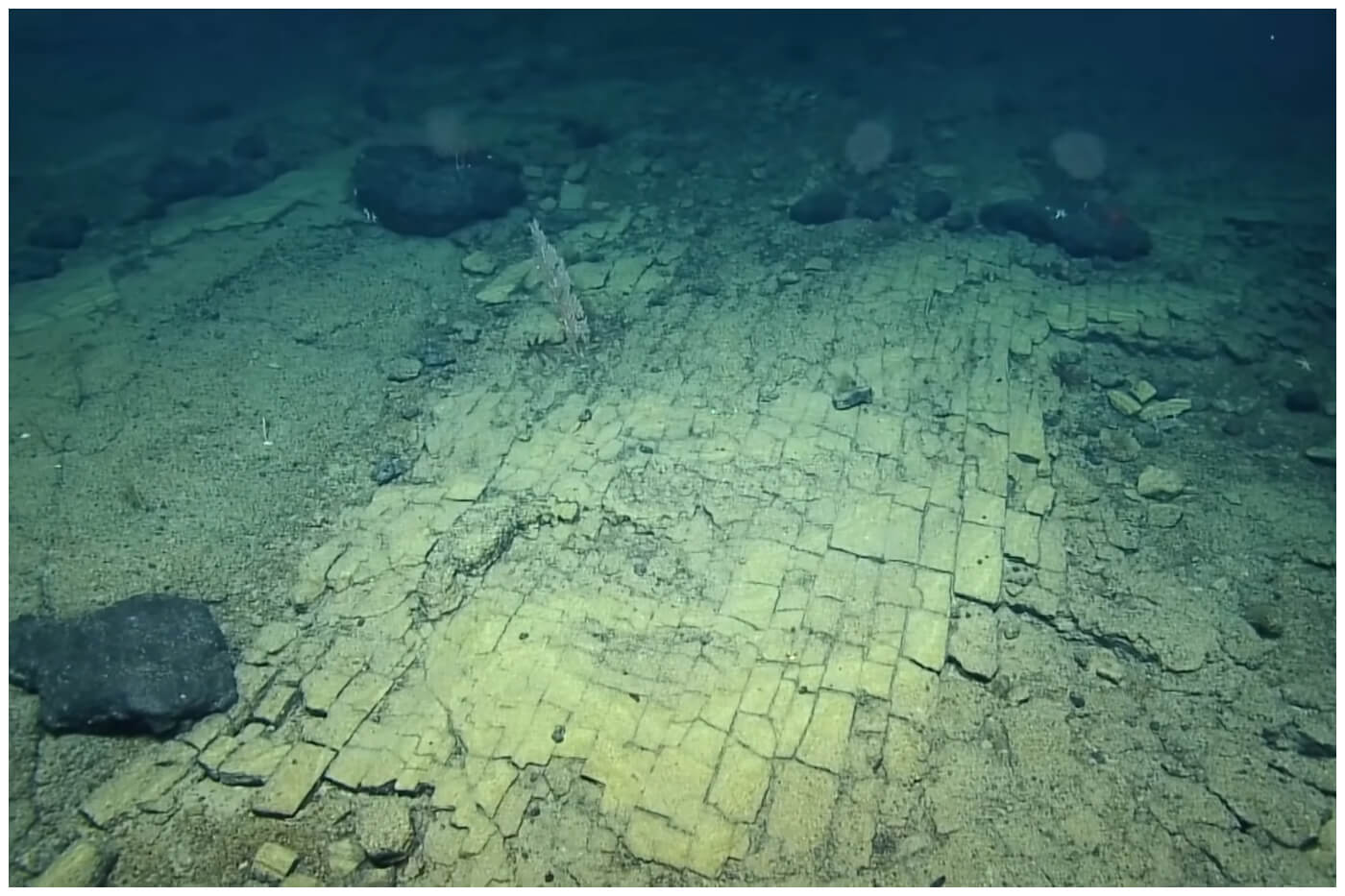 El famoso camino amarillo, en el fondo del océano Pacífico. (Captura de pantalla © EV Nautilus- YouTube)