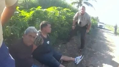 Momento en el que se llevó a cabo el arresto de varias personas involucradas. (Captura de pantalla © Telemundo 51)