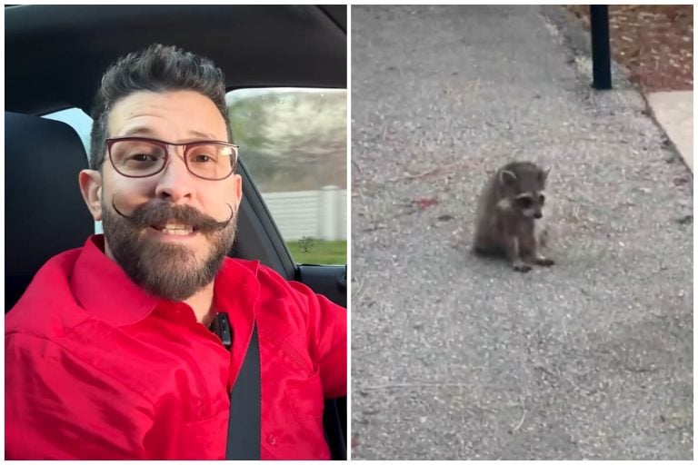 Ricardo Becerra conmueve con ayuda a un mapache herido en Florida